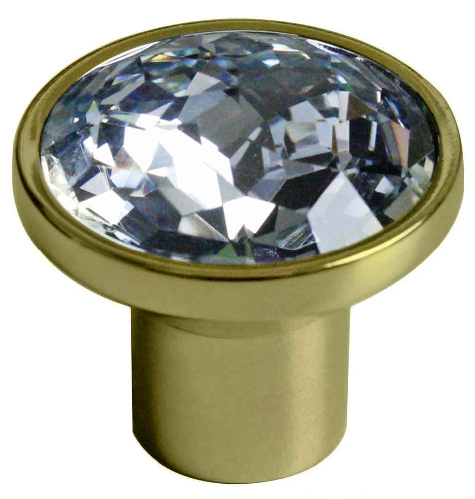 1.25-in. x 1.25-in. Stainless Steel Cabinet Knob In Gold