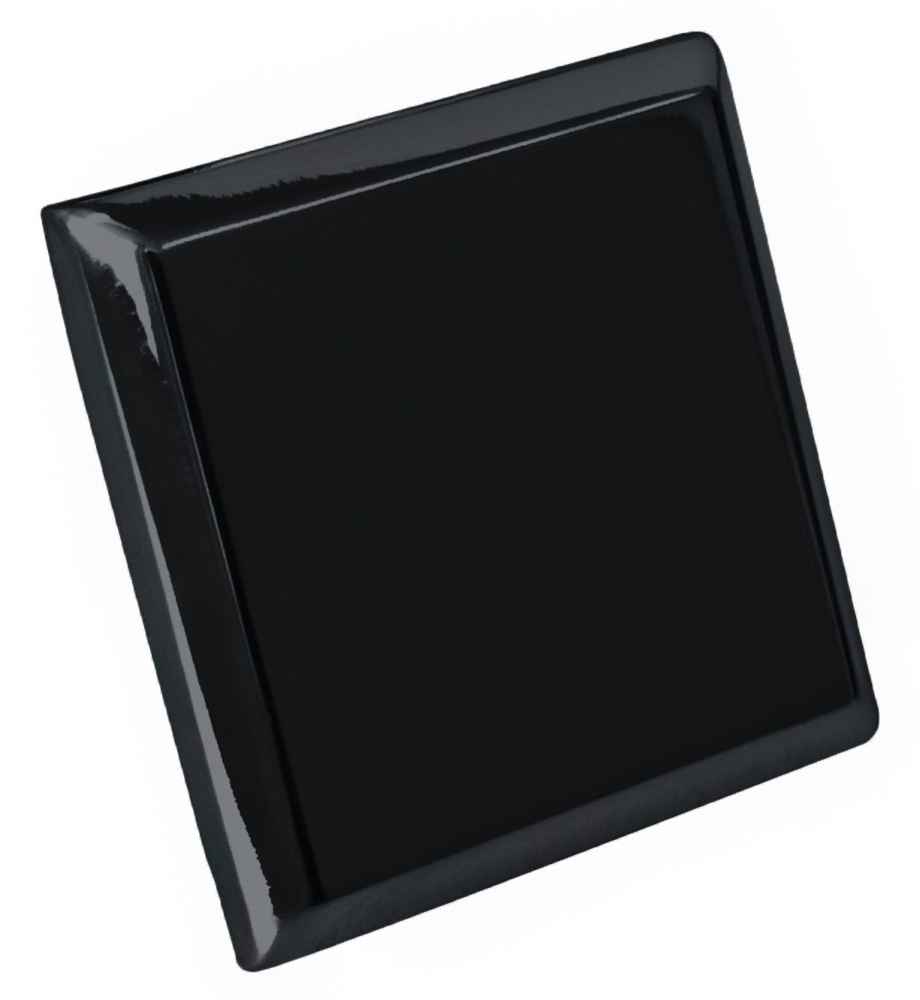 1.2-in. x 1.2-in. Stainless Steel Cabinet Knob In Black