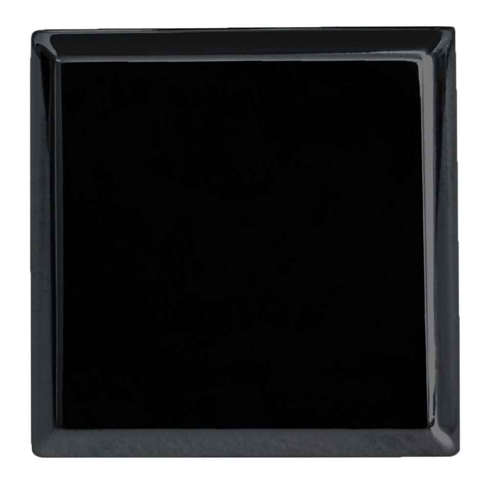 1.2-in. x 1.2-in. Stainless Steel Cabinet Knob In Black