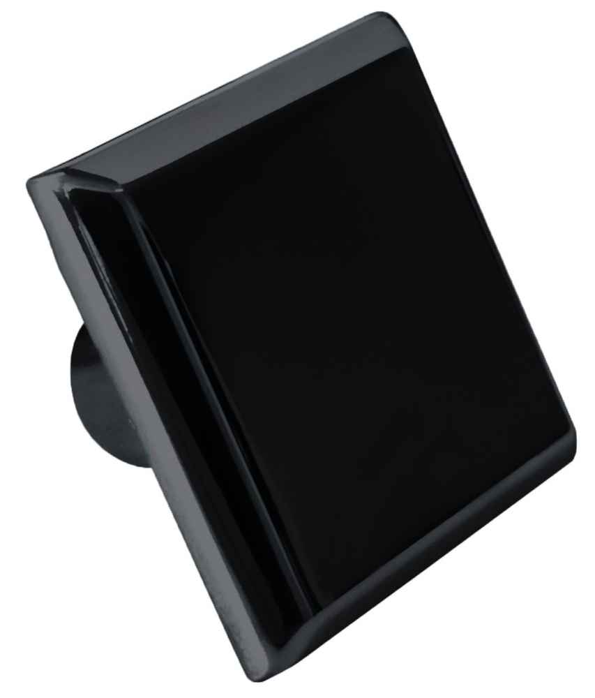 1.2-in. x 1.2-in. Stainless Steel  Cabinet Knob In Black