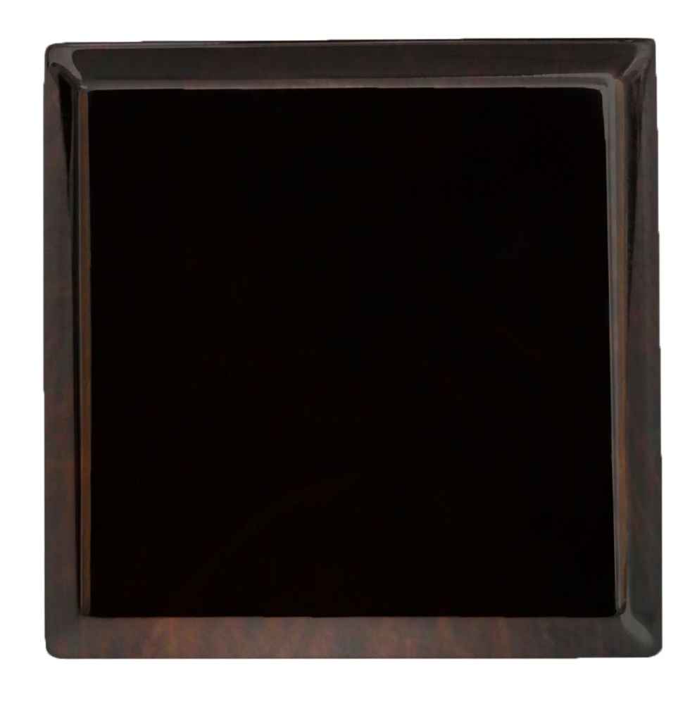 1.2-in. x 1.2-in. Stainless Steel Cabinet Knob In Oil Rubbed Bronze