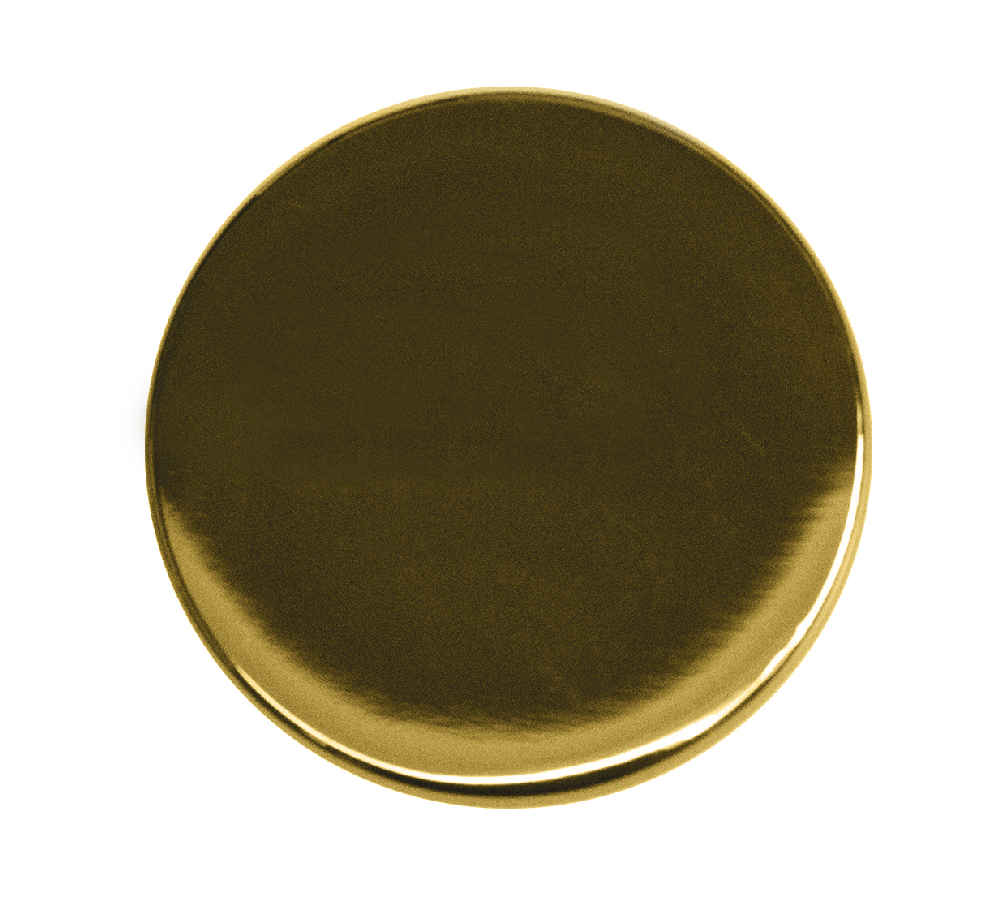 1-in. x 1-in. Stainless Steel Cabinet Knob In Gold