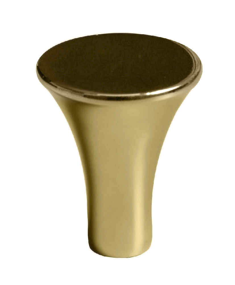 1-in. x 1-in. Stainless Steel Cabinet Knob In Gold