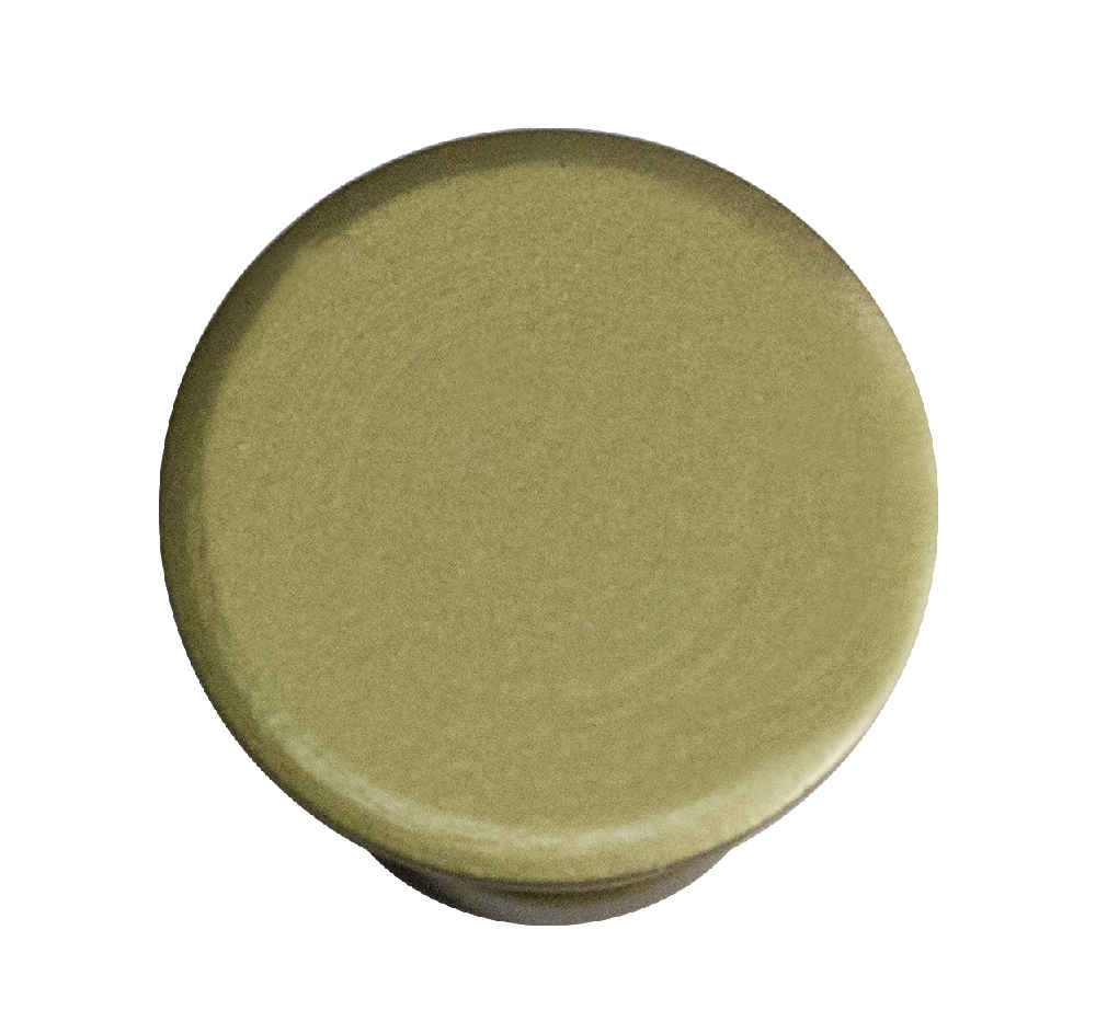 1-in. x 1-in. Stainless Steel Cabinet Knob In Gold