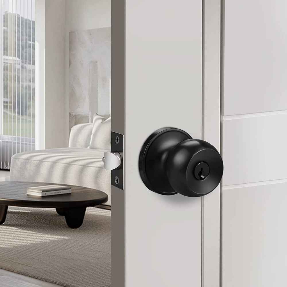 3-in. x 0.03-in. Stainless Steel Door Lock In Black