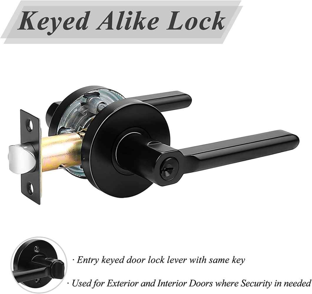 2.5-in. x 0.03-in. Stainless Steel Door Lock In Black